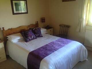 Отели типа «постель и завтрак» Aran Lodge Бантри Двухместный номер с 1 кроватью-3